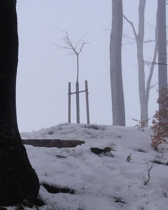 2010 12 30 A